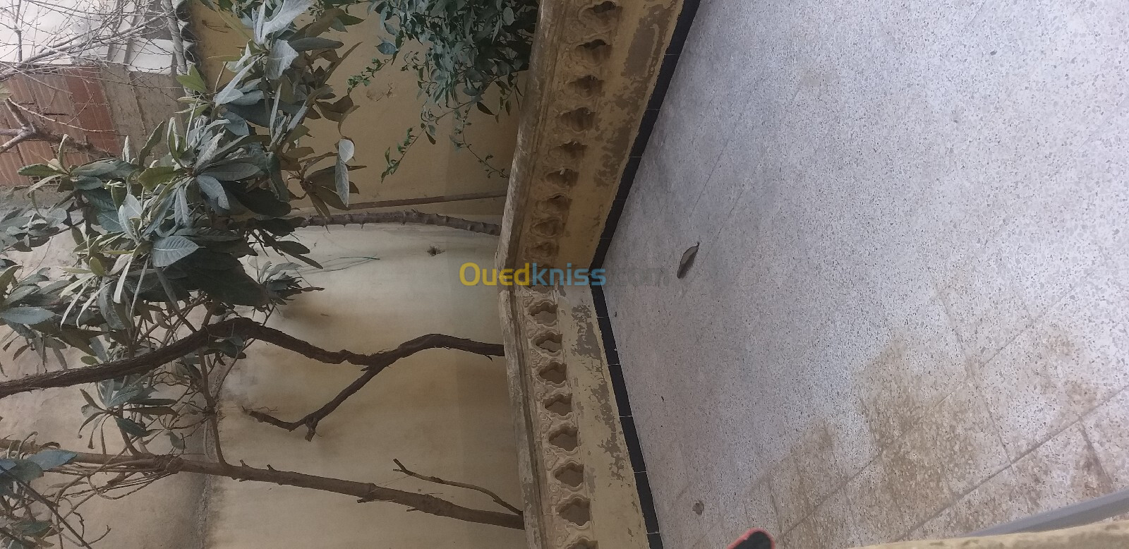 Location Niveau De Villa F2 Alger Bordj el kiffan