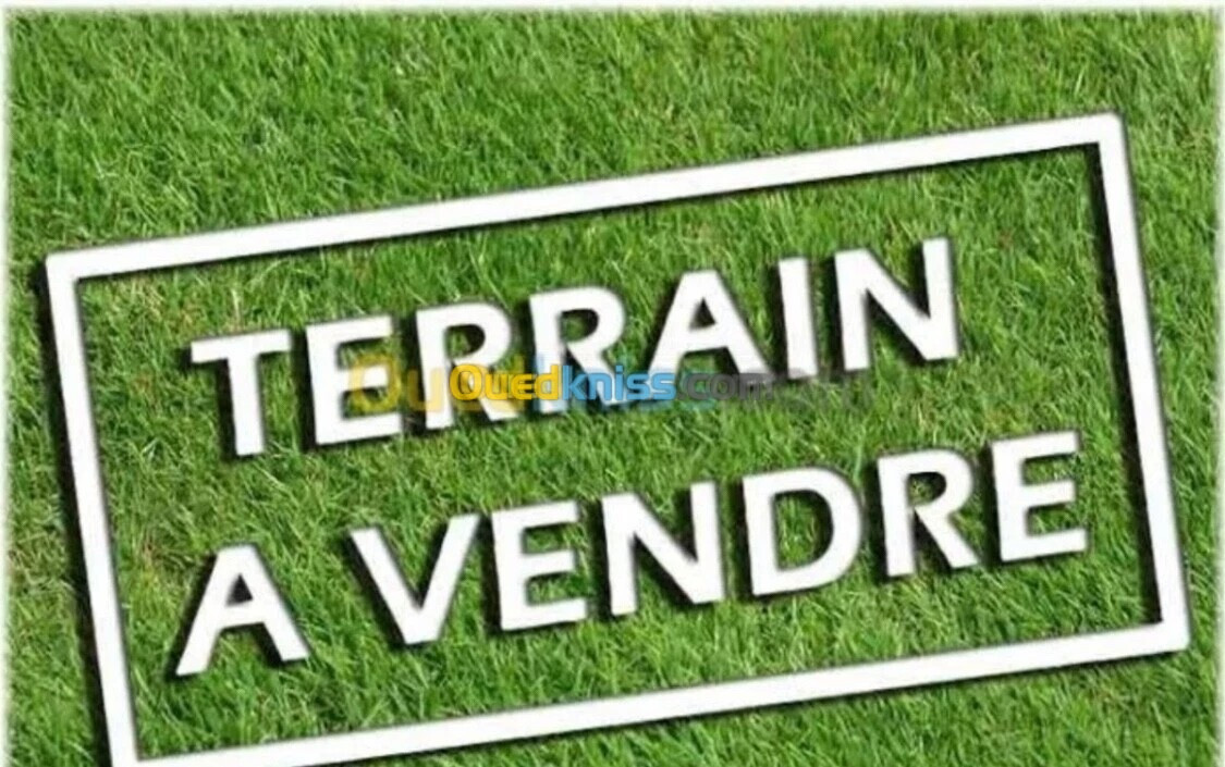 Vente Terrain Alger Ain naadja