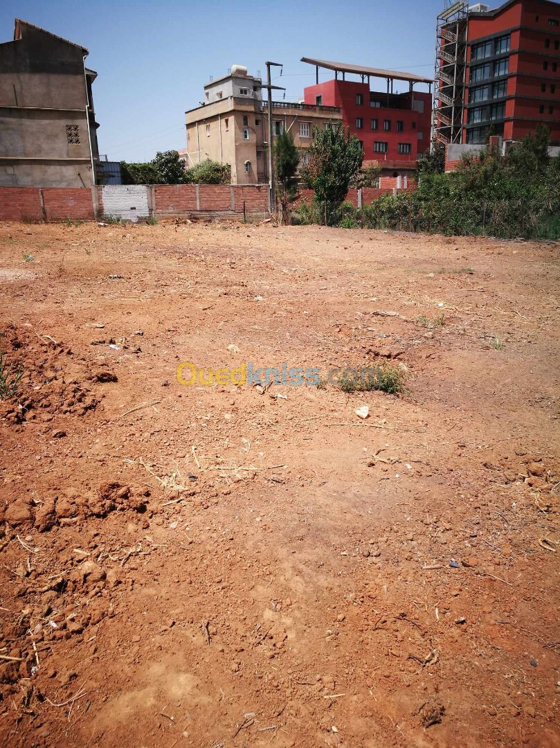 Location Terrain Alger Birkhadem