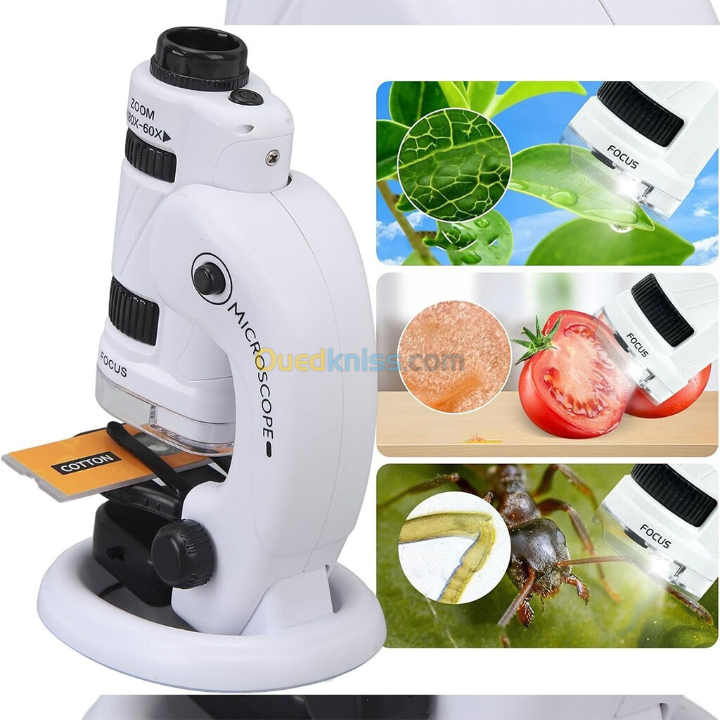 Kit de microscope pour enfants, 60X-180X avec support amovible LED double lumière