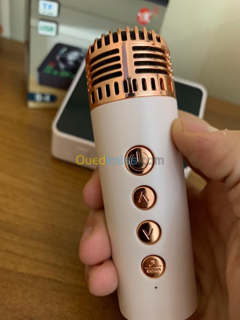 Machine de karaoké Mini microphone et haut-parleur KTV