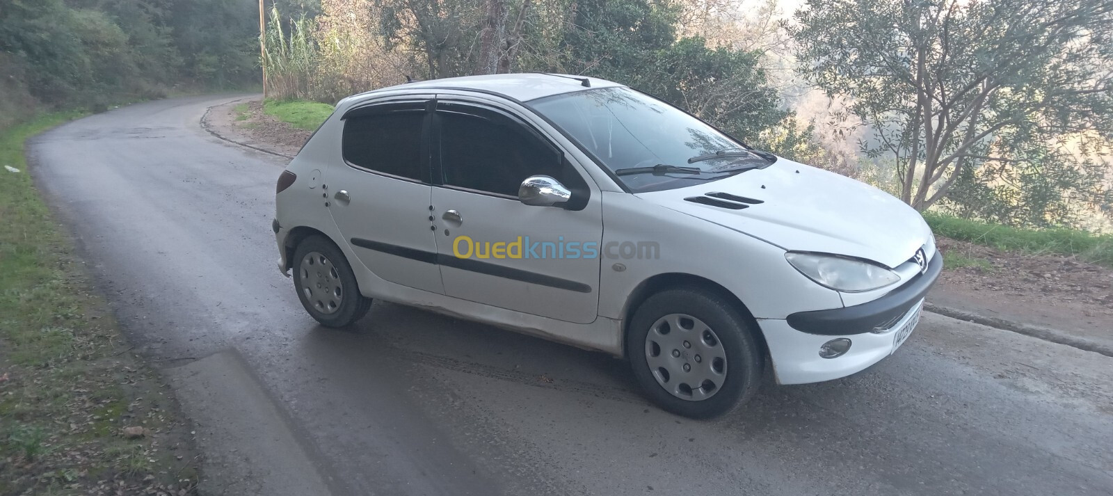 Peugeot 206 2004 206