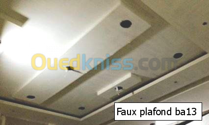 Faux plafond PVC et Placoplatre BA13