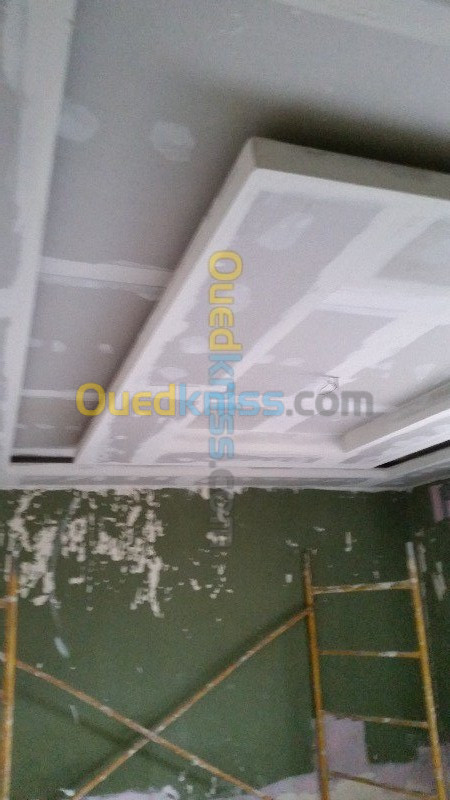 Faux plafond PVC et Placoplatre BA13