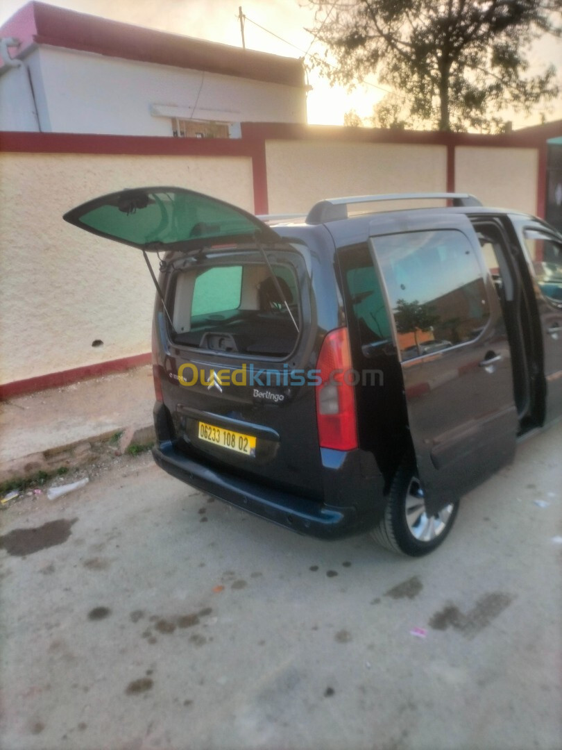 Citroen Berlingo 2008 Multispace