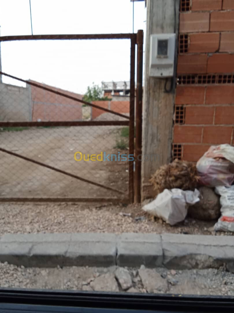 Vente Terrain Blida Chebli