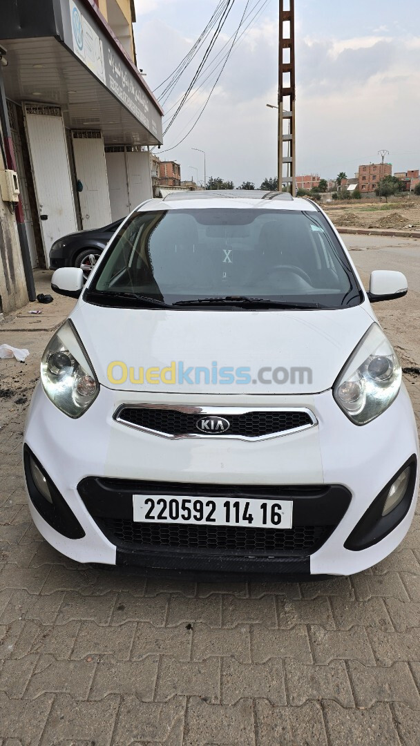 Kia Picanto 2014 Brazilain