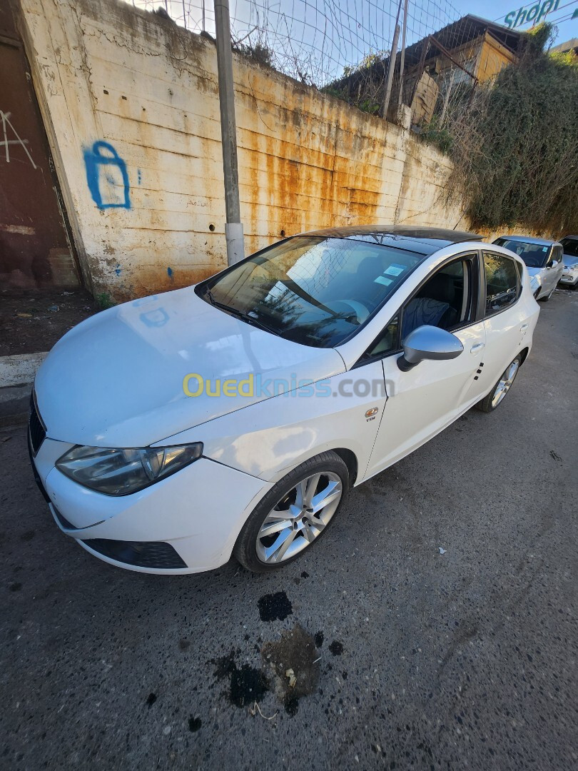 Ibiza Seat ibiza 2012 