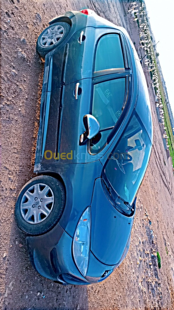 Peugeot 207 2007 207