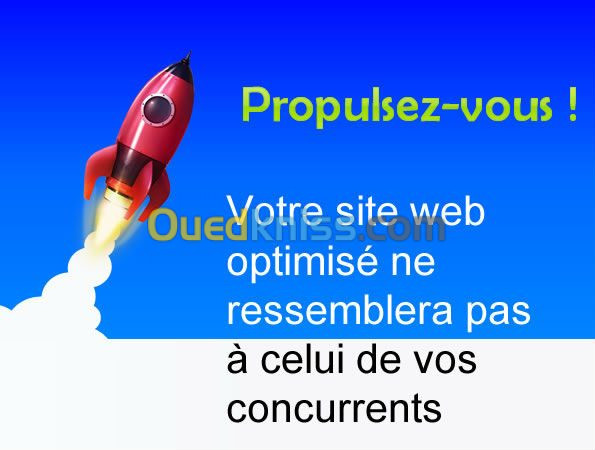 web marketing et compagne publicitaire