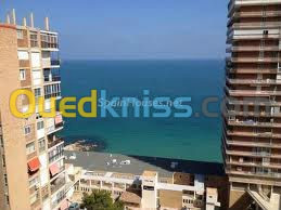 vente bien immobilier ALICANTE