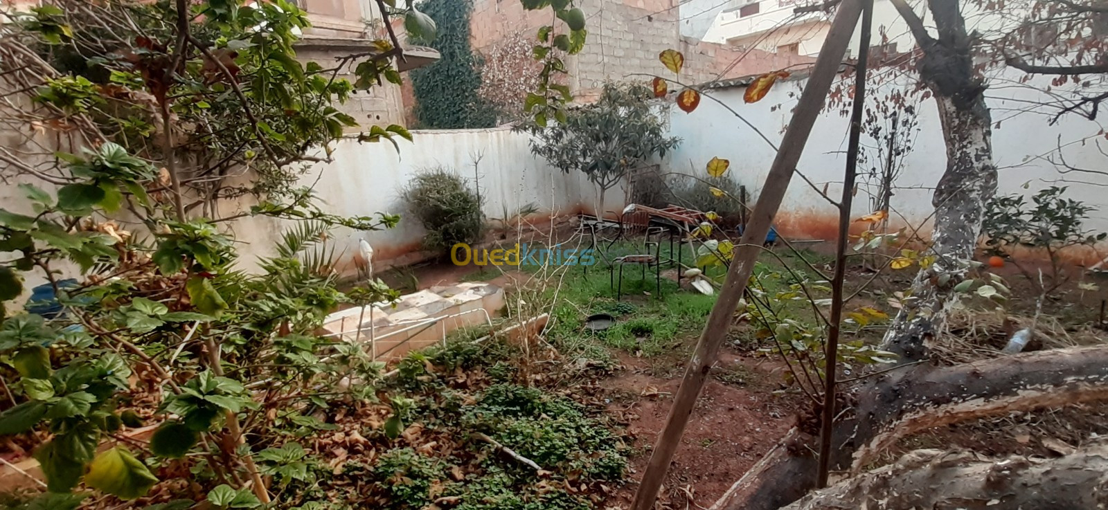 Vente Villa Oran Oran