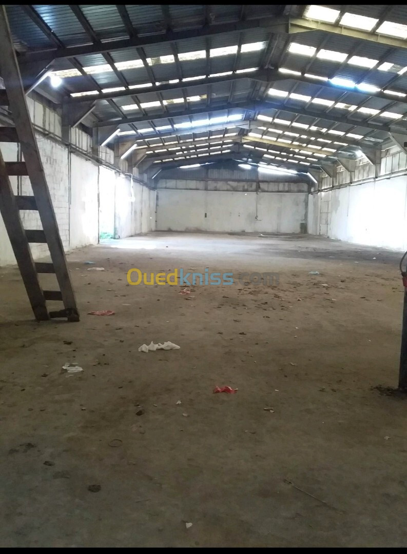 Vente Hangar Annaba Annaba