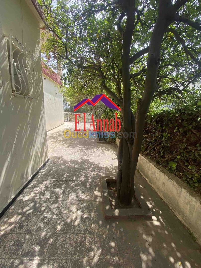 Vente Villa Annaba Annaba