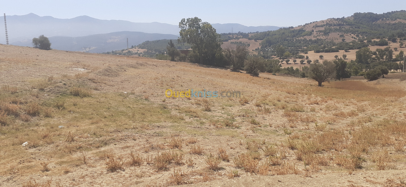 Vente Terrain Blida El affroun