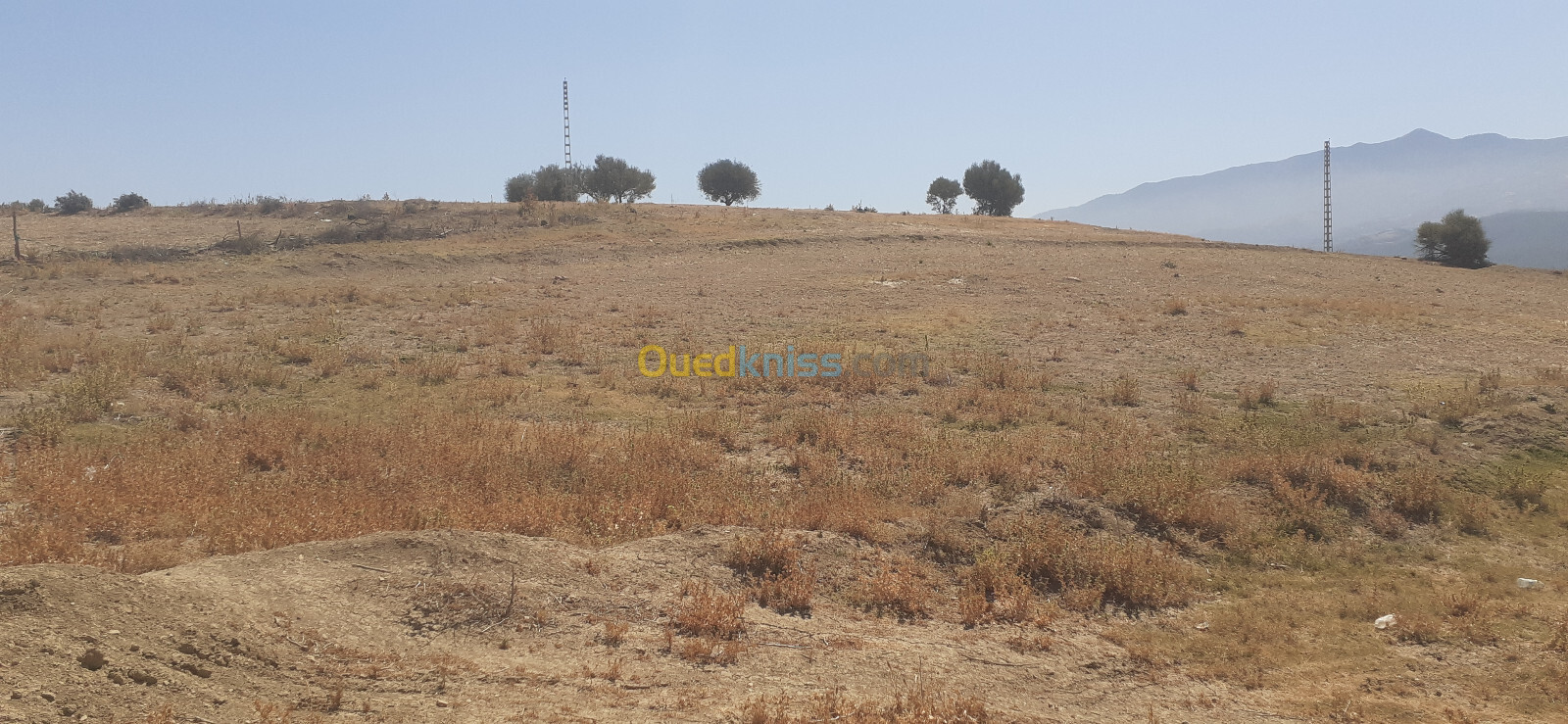 Vente Terrain Blida El affroun