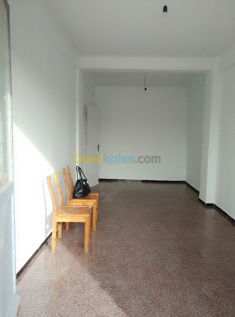 Location Appartement F3 Alger Alger centre