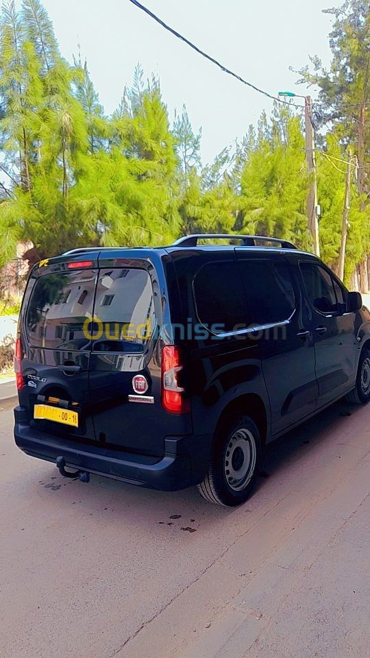 Fiat Professional Doblo 2024 