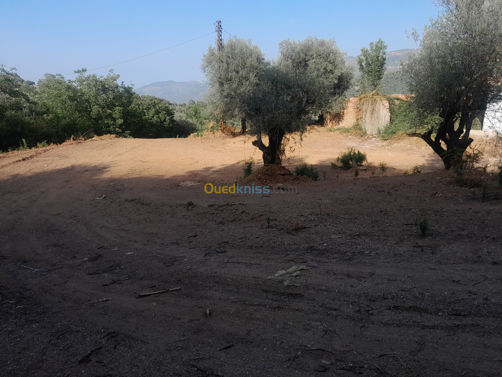 Cherche location Terrain Jijel Texenna