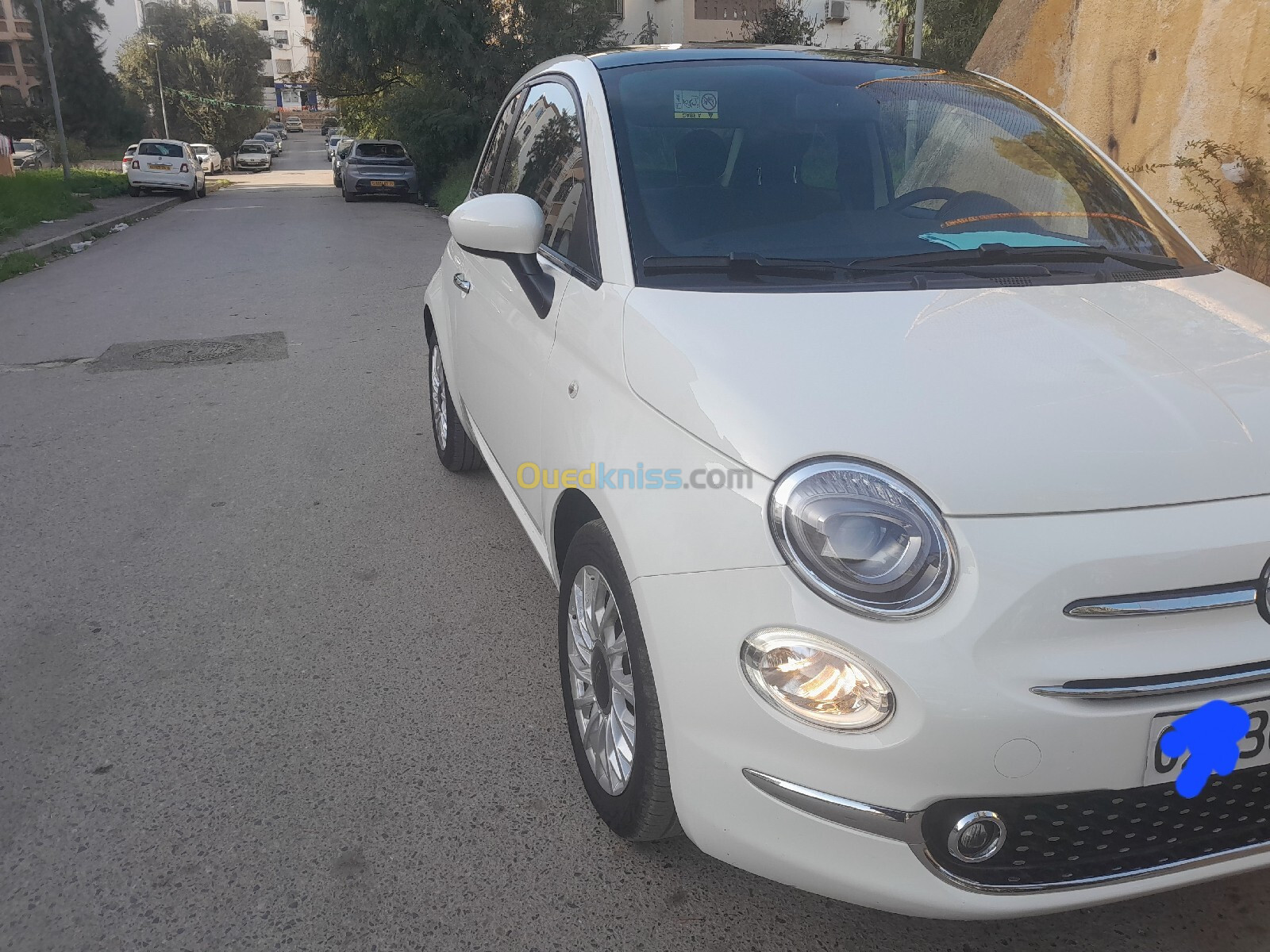 Fiat Fiat 500 2023 2023 Clubs