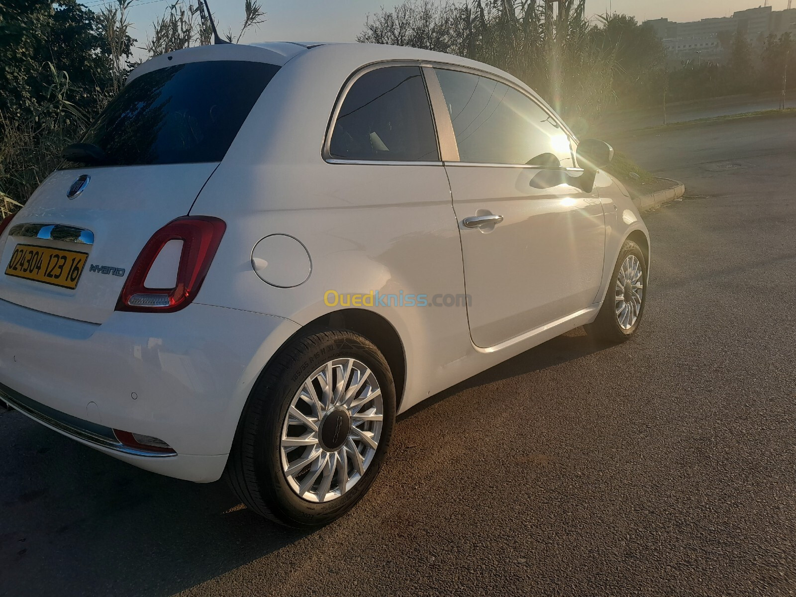 Fiat Fiat 500 2023 Clubs