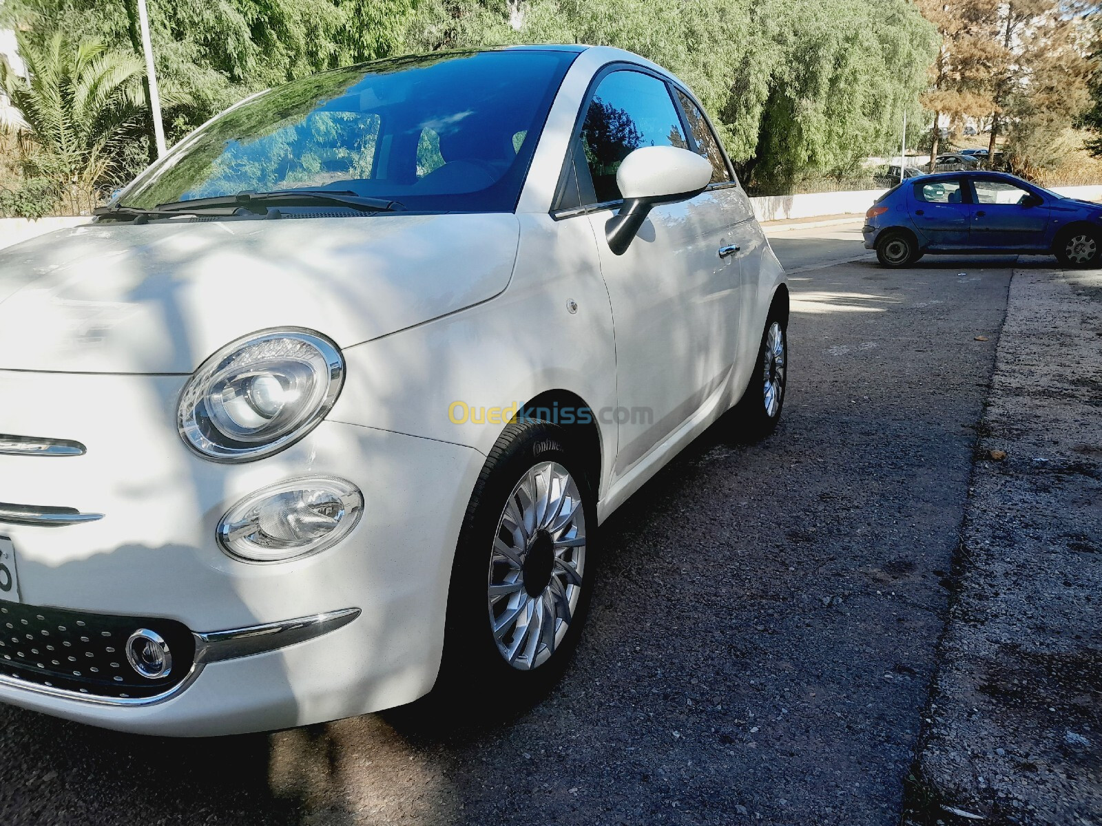 Fiat Fiat 500 2023 Clubs