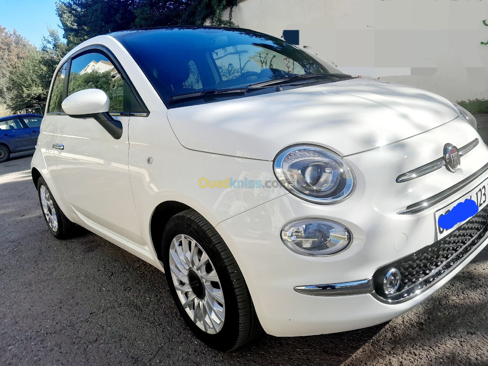 Fiat Fiat 500 2023 2023 Clubs