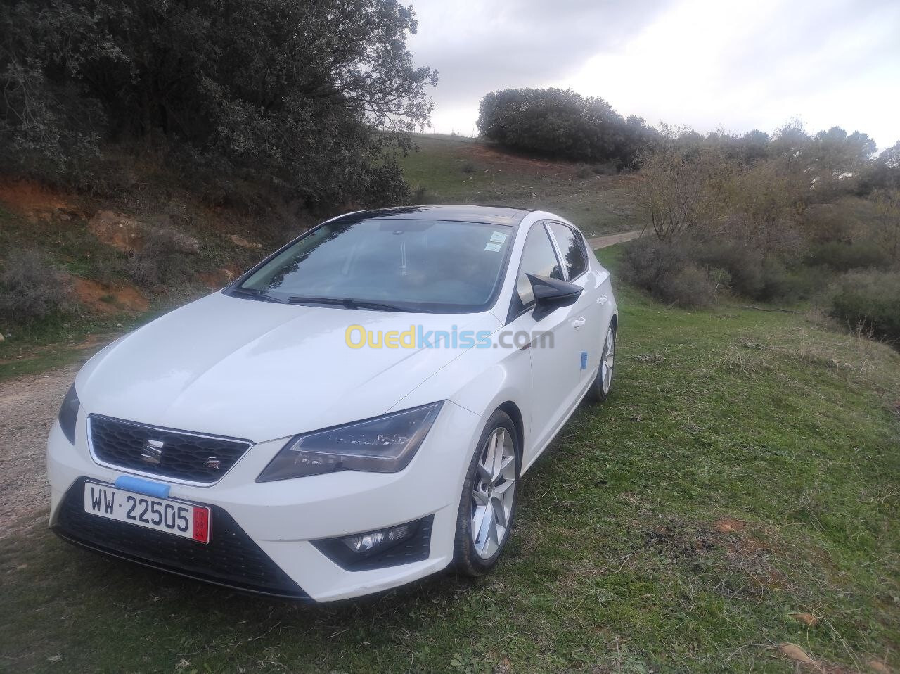 Seat Leon 2014 FR