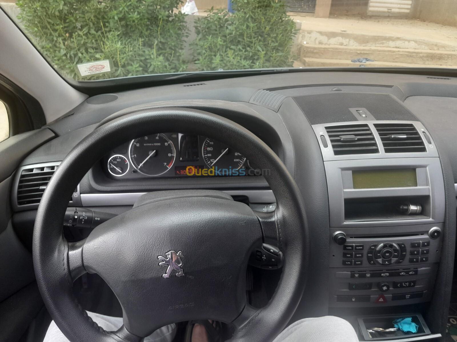 Peugeot 407 2005 407