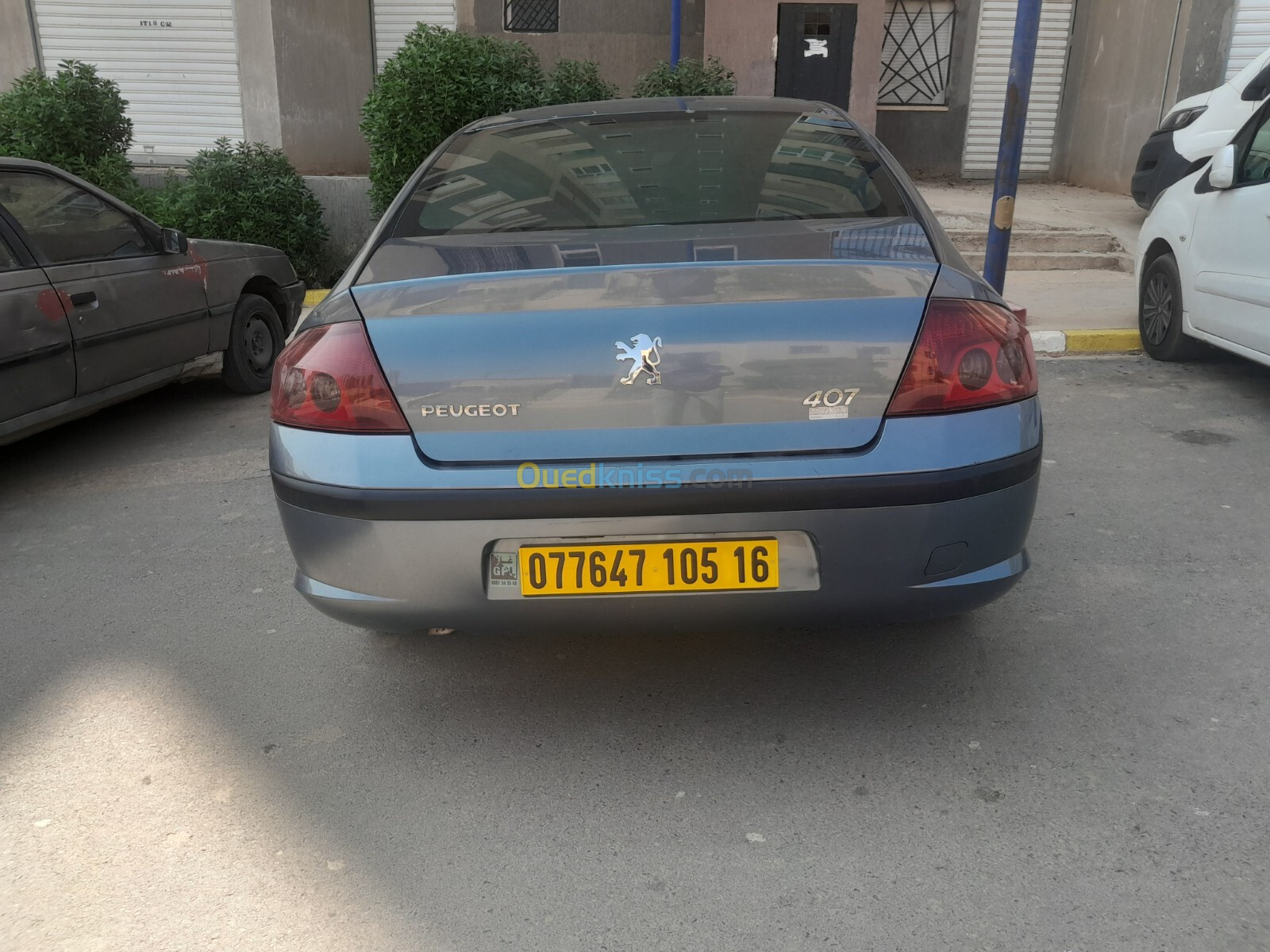 Peugeot 407 2005 407