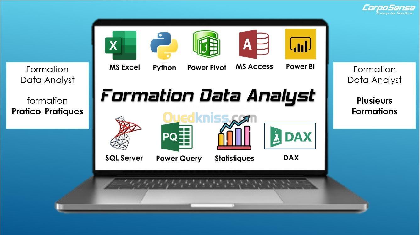 Formation Data Analyst