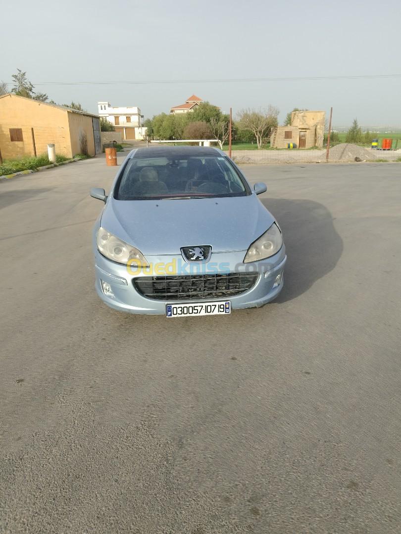 Peugeot 407 2007 407