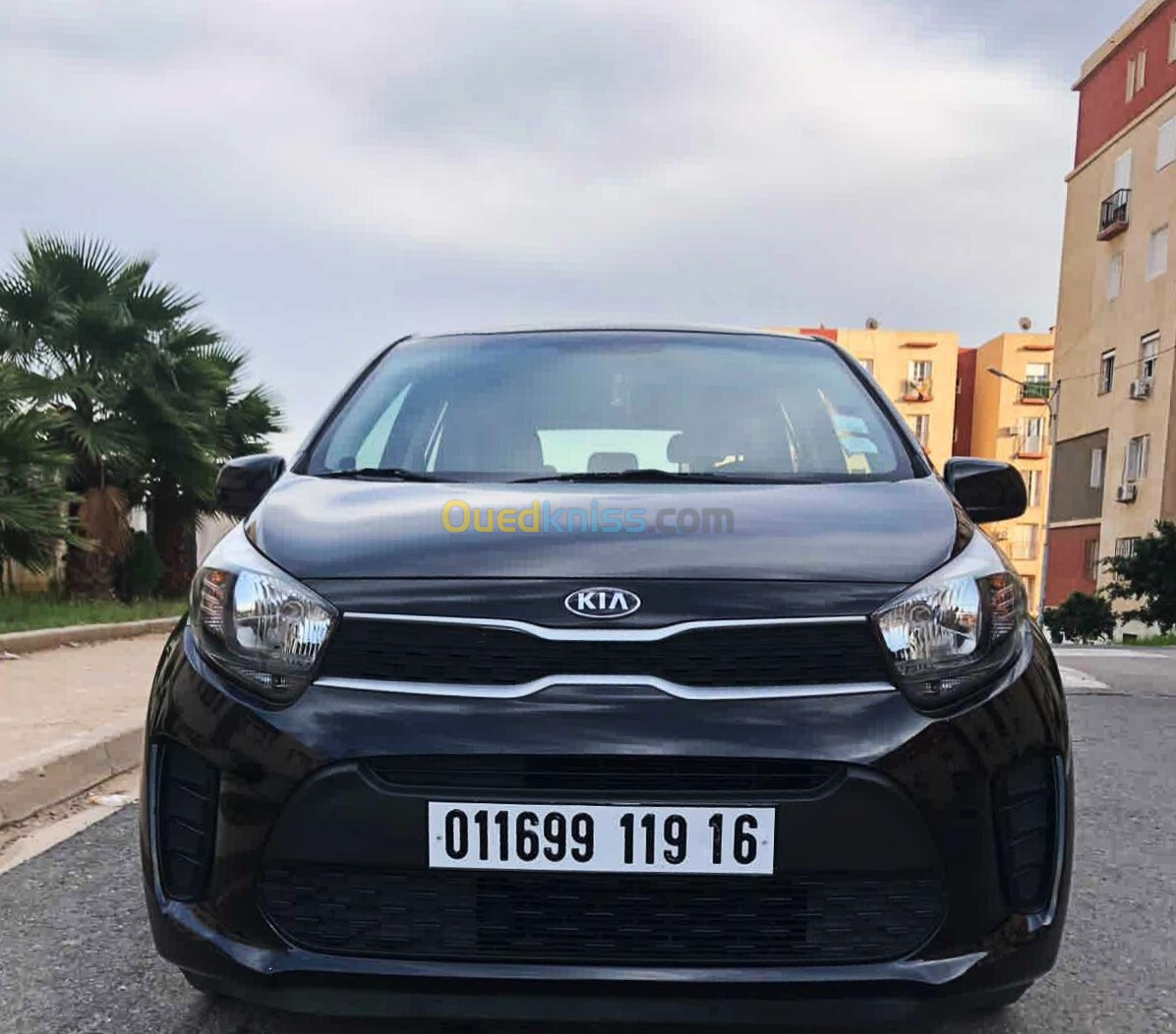 Kia Picanto 2019 LX Start