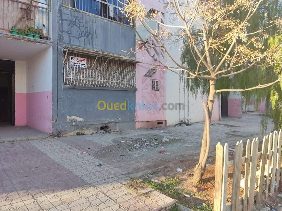 Vente Appartement F3 Khenchela Khenchela