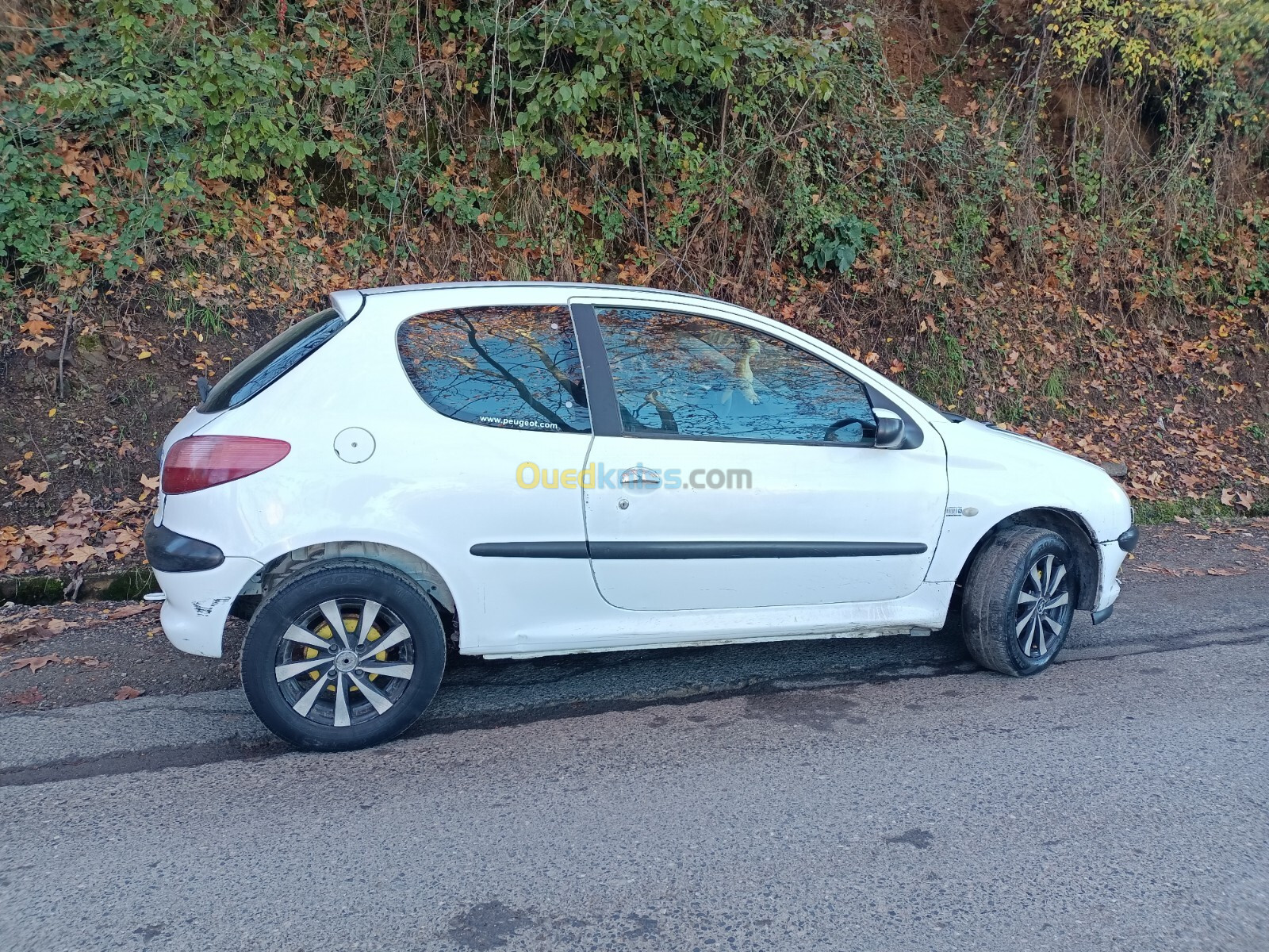 Peugeot 206 2003 206