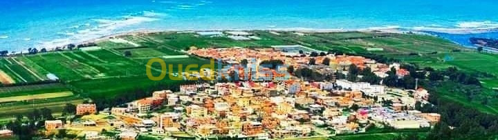 Vente Terrain Boumerdes Sidi daoud