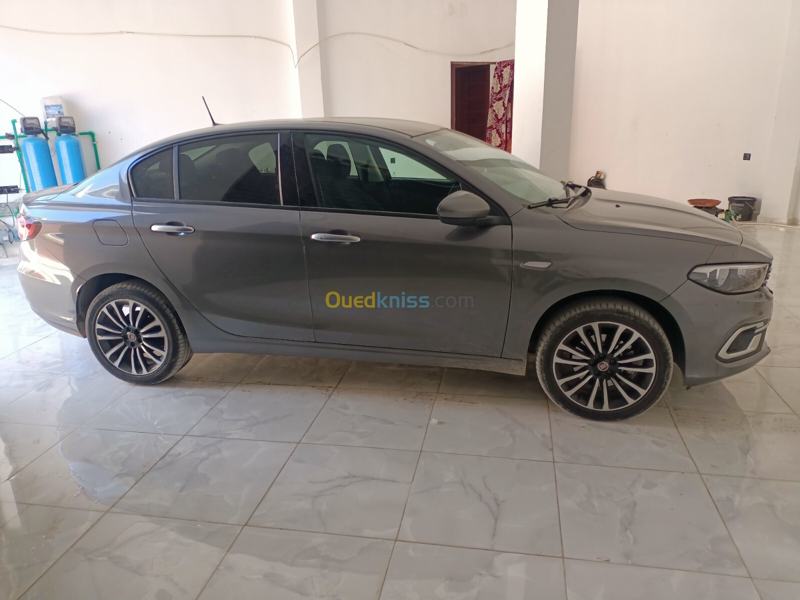 Fiat Tipo 2023 Live