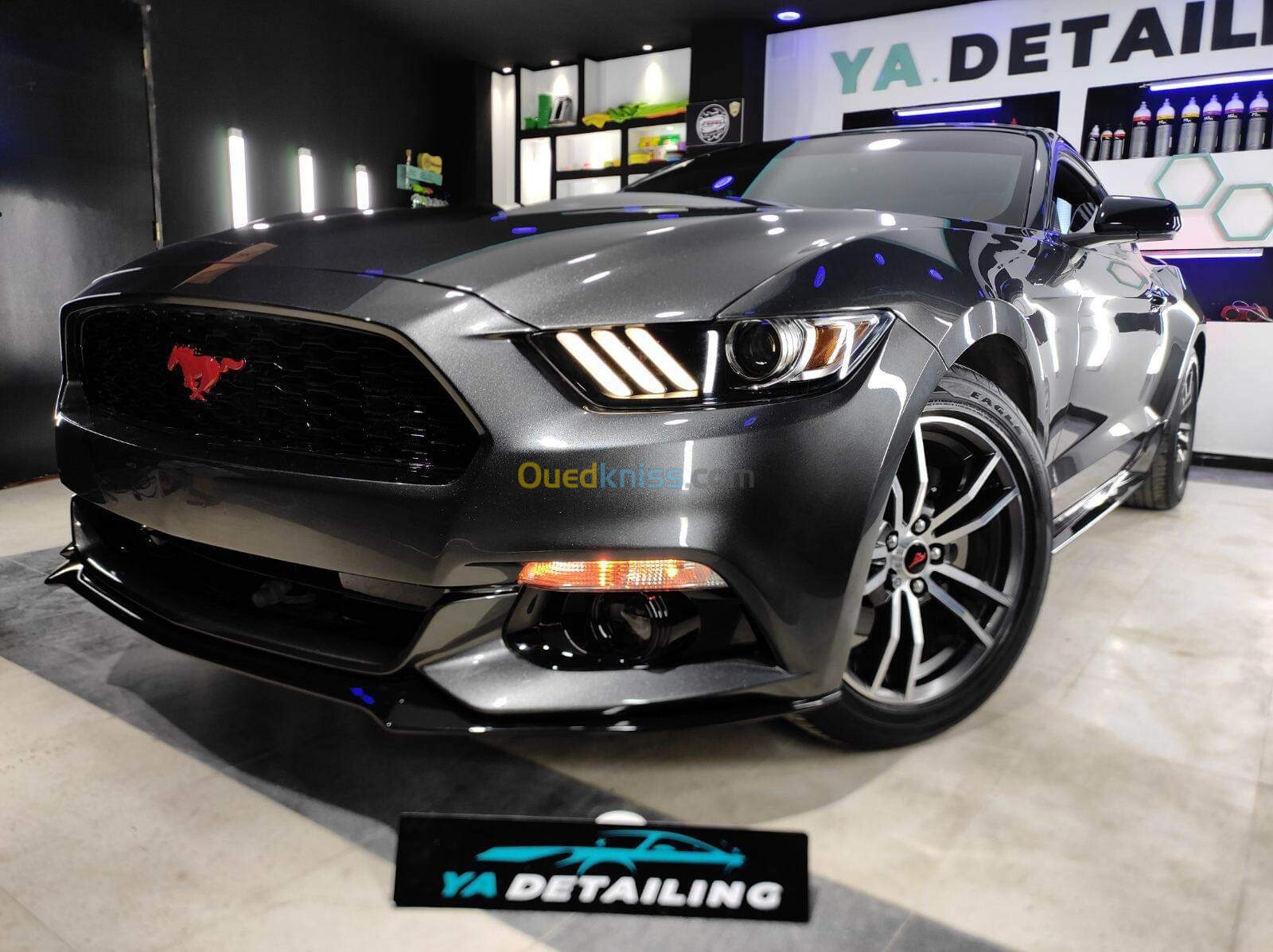 Ford MUSTANG 2019 Performance 317 cv