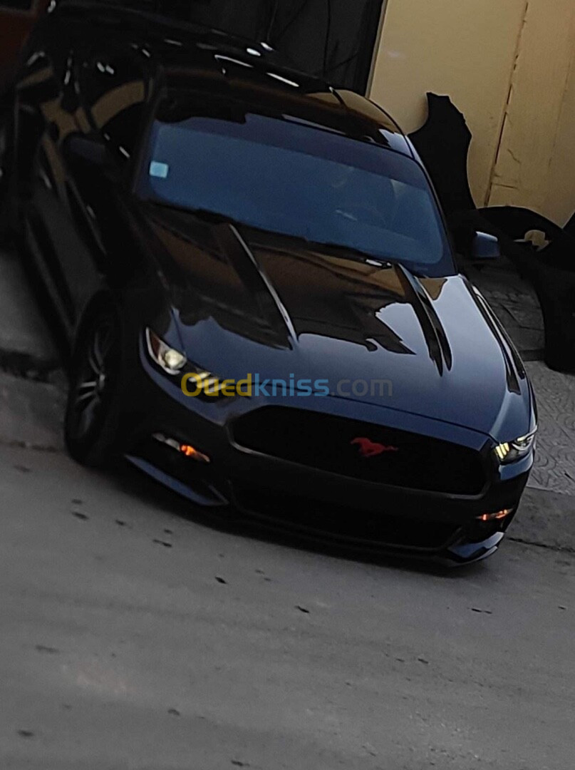 Ford MUSTANG 2019 Performance 317 cv