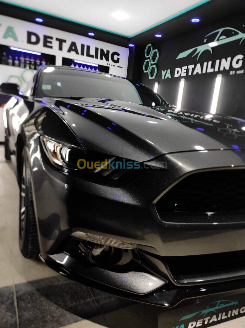 Ford MUSTANG 2019 Performance 317 cv