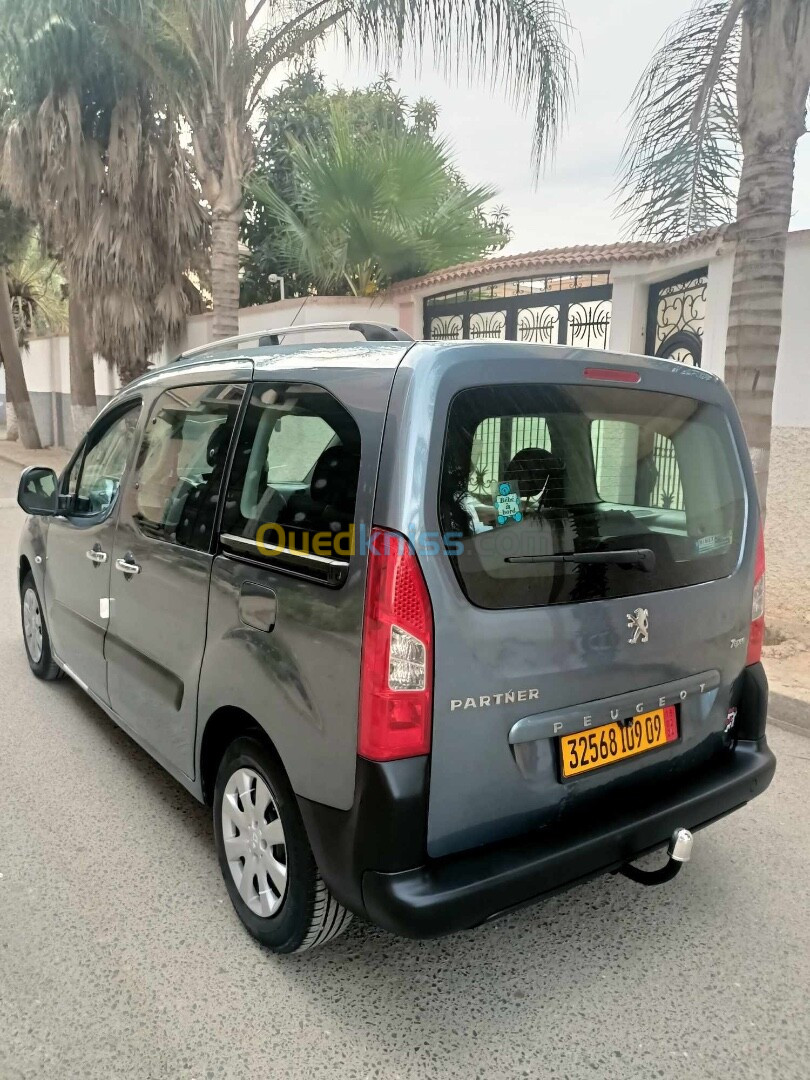 Peugeot Partner 2009 Tepee