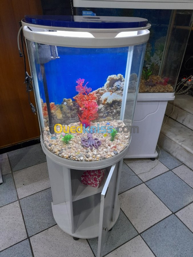 Camry aquarium cheap