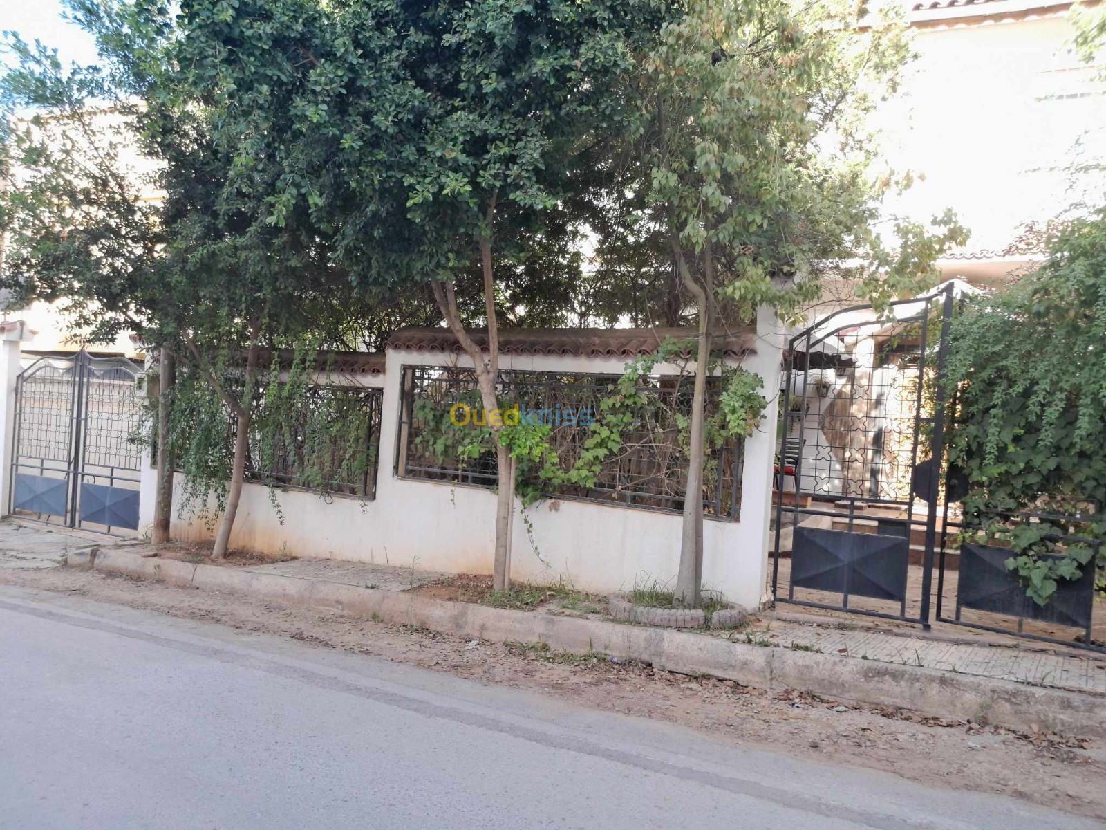 Vente Villa Chlef Chlef