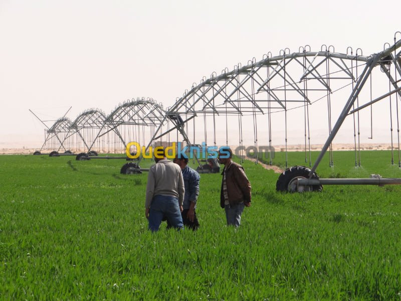 PIVOT D'IRRIGATION