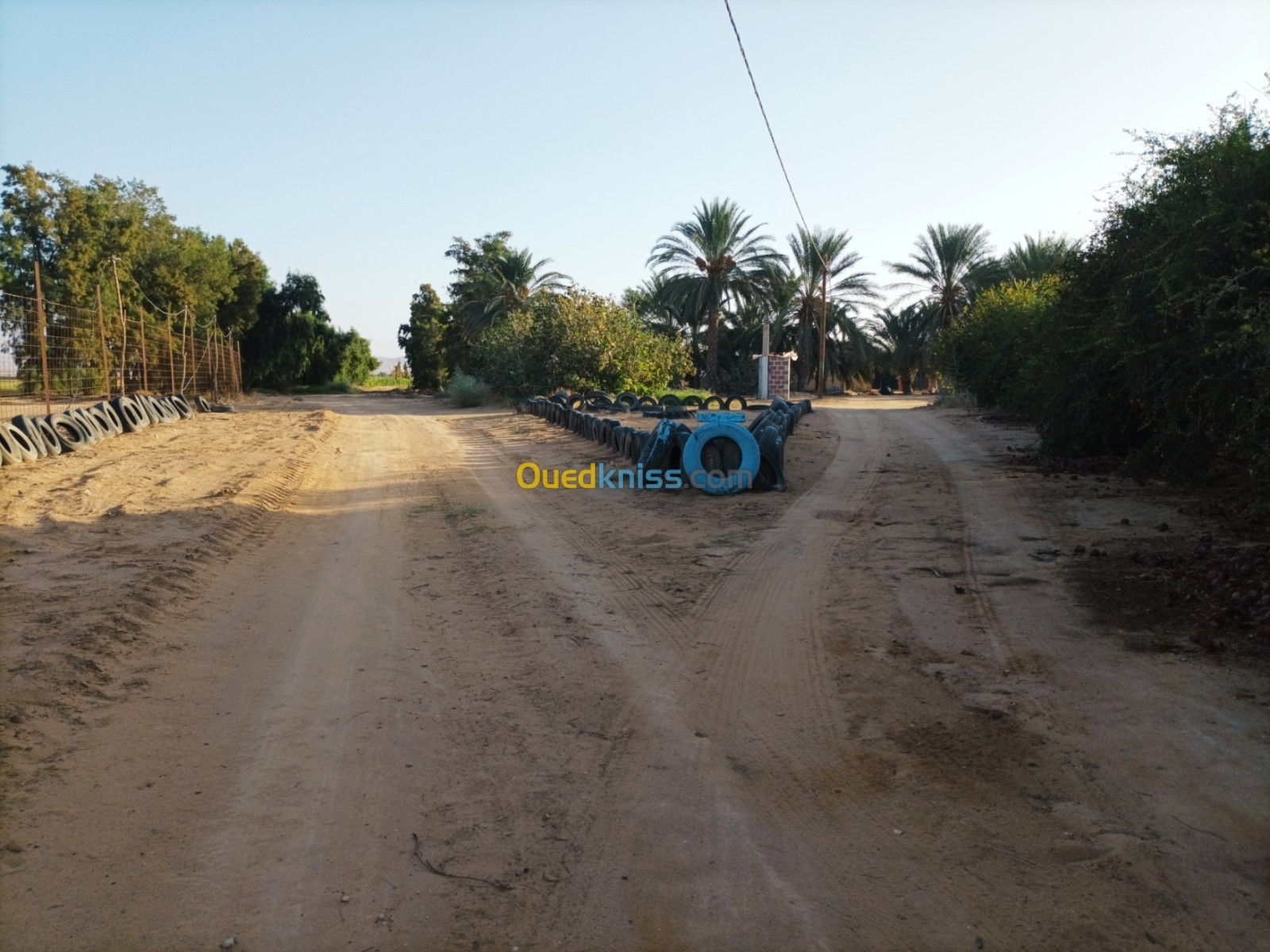 Vente Terrain Agricole Biskra Sidi okba