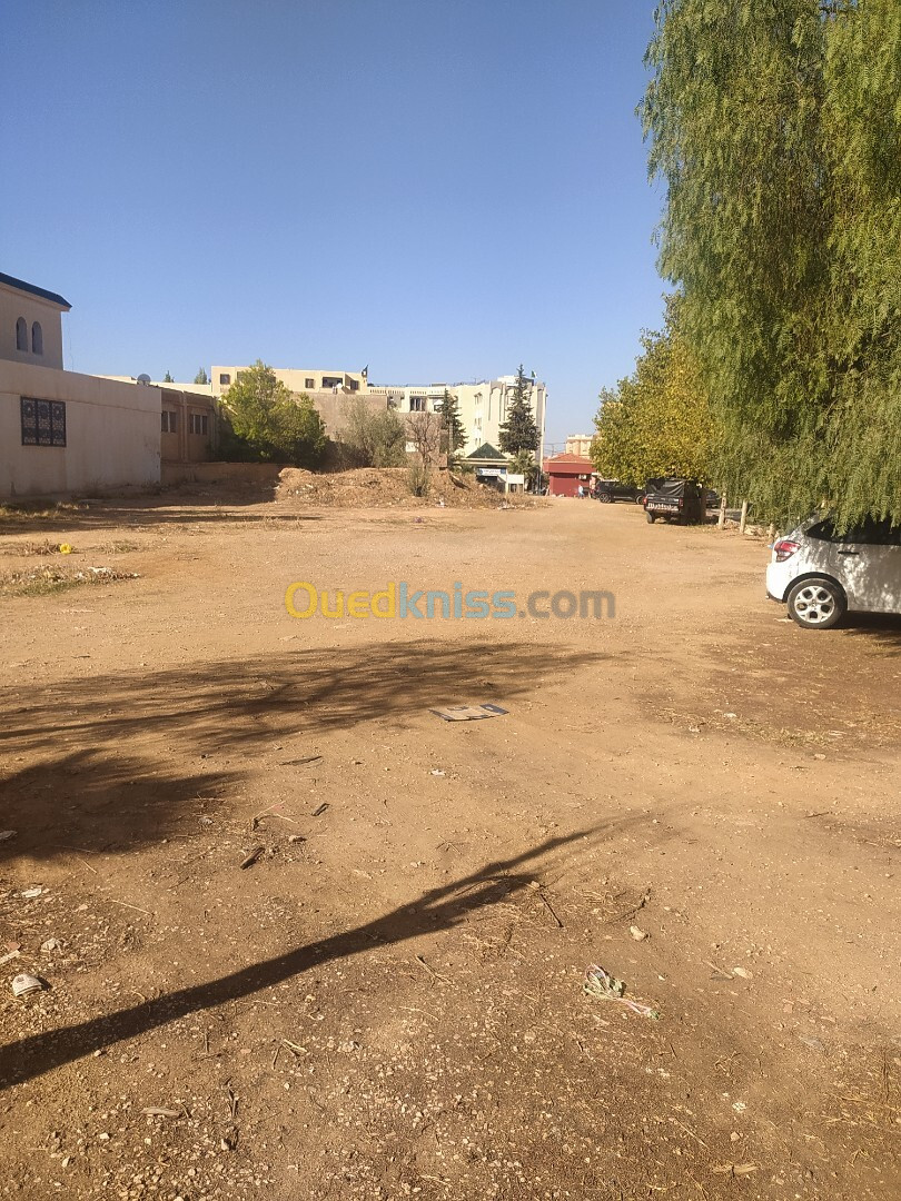 Vente Terrain Tlemcen Tlemcen