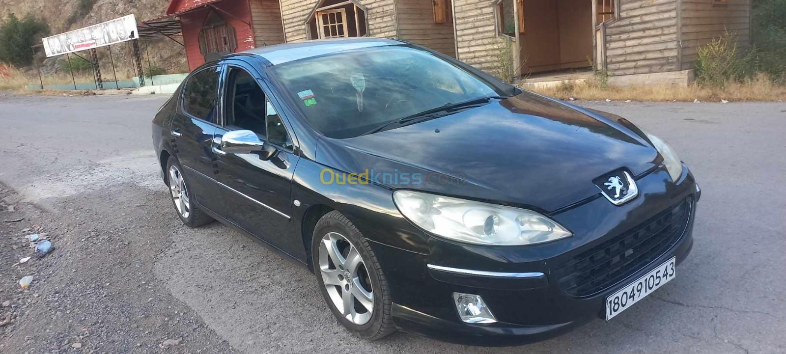 Peugeot 407 2005 407