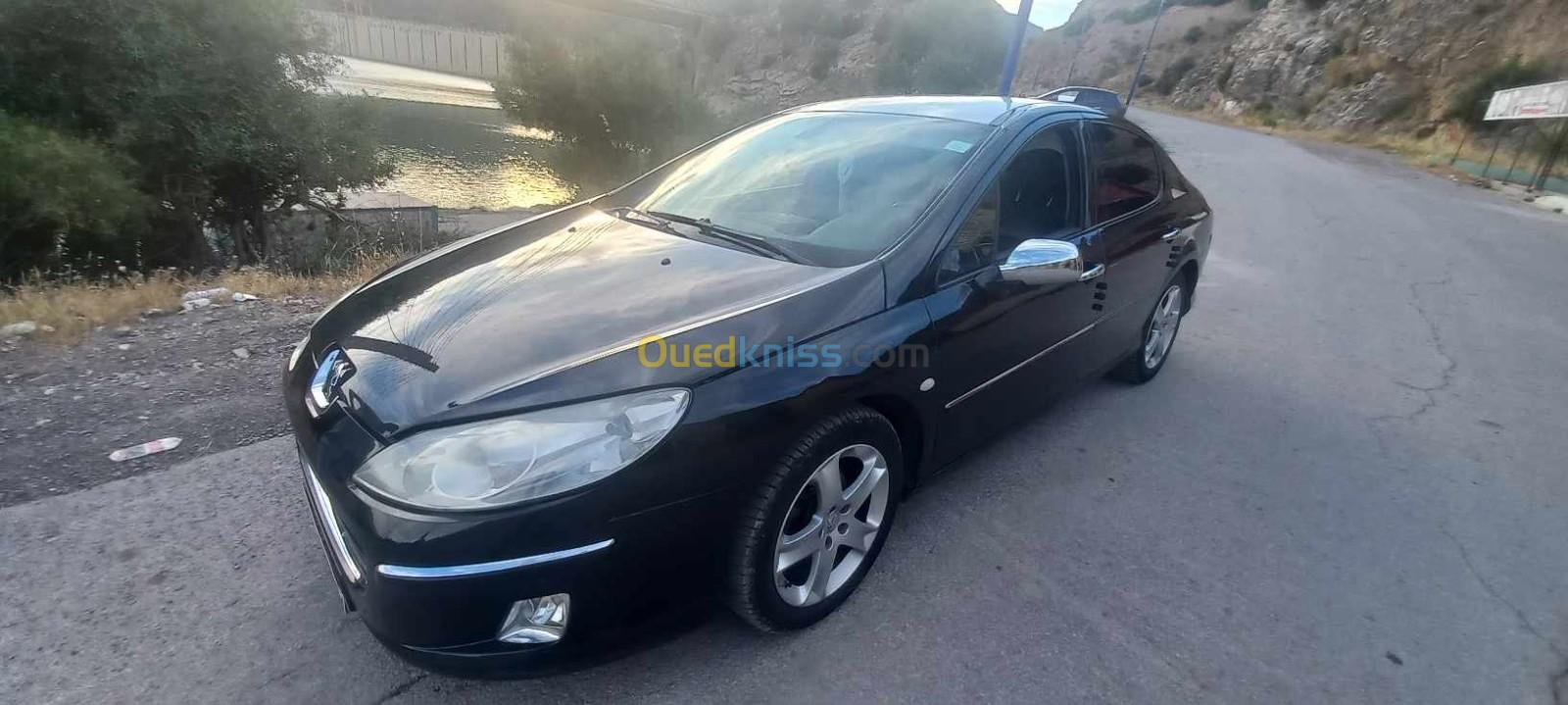 Peugeot 407 2005 407