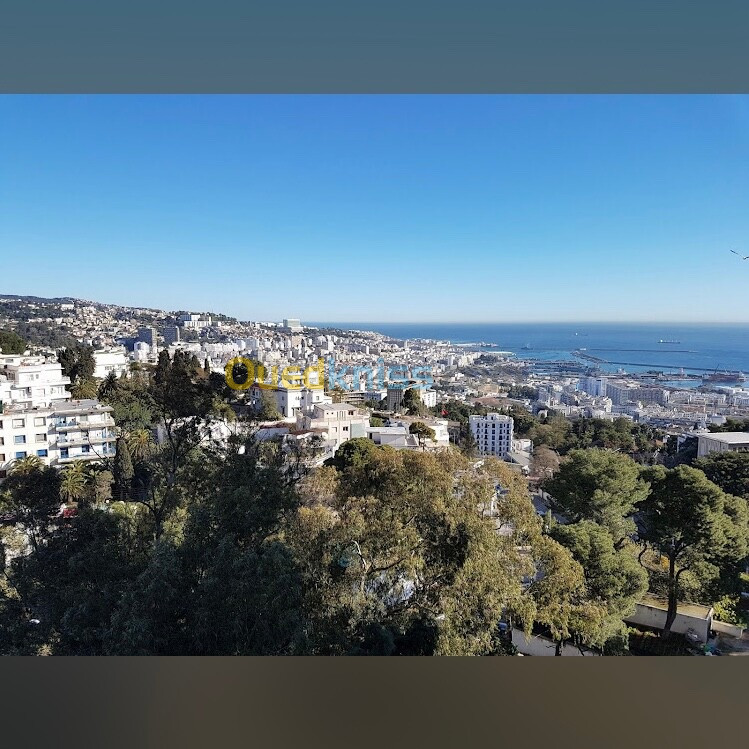 Vente Terrain Alger El mouradia