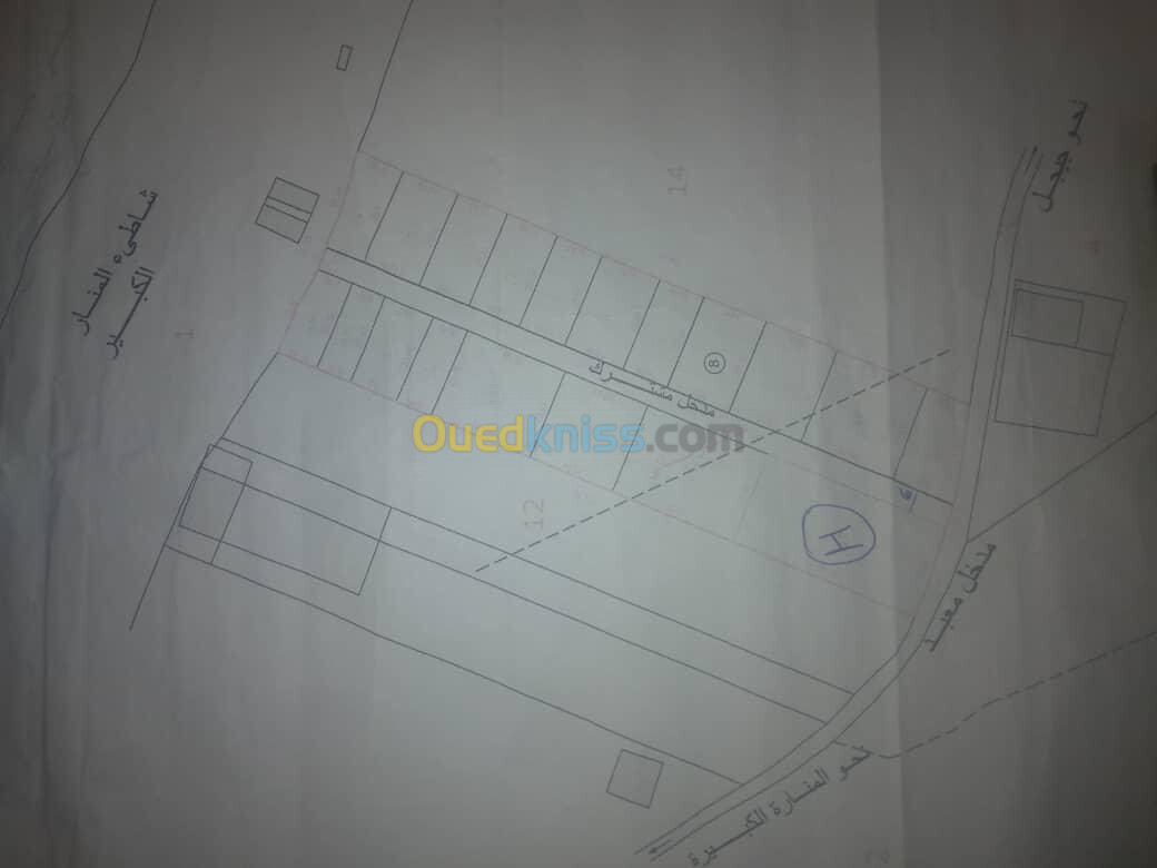 Vente Terrain Jijel Jijel